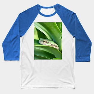 Frog Bliss Baseball T-Shirt